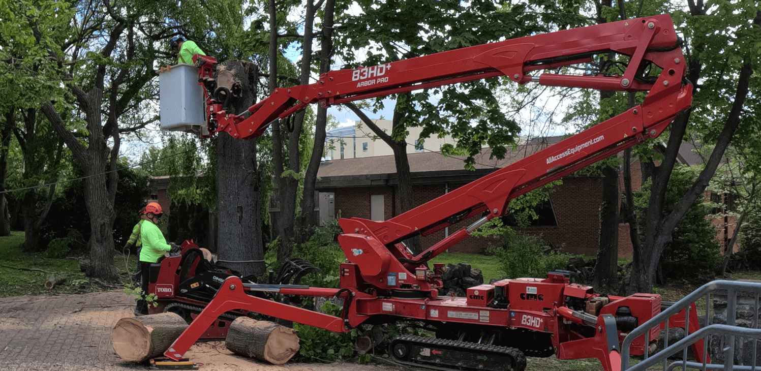 Spider lift used to remove tree - Stein Tree Service