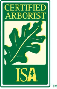 certified arborist badge