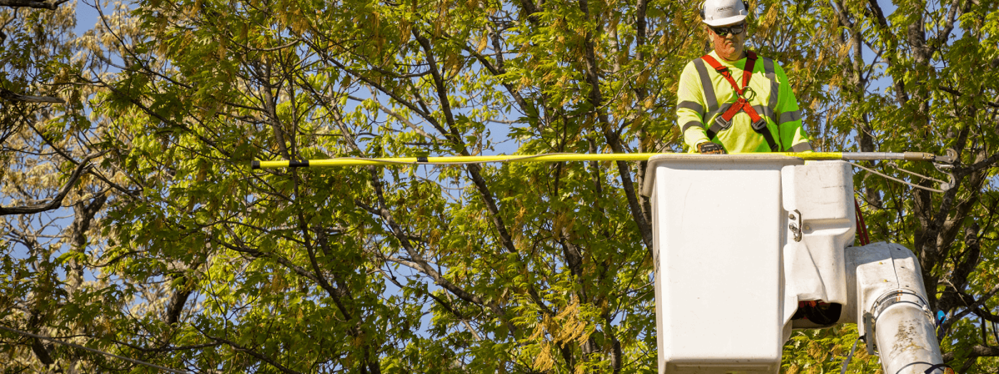 Stein Tree Lift Truck - Tree Trimming in Talleyville DE