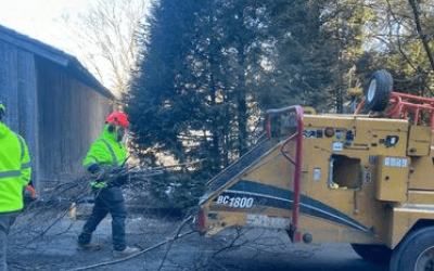 worker feeding tree chipper - Stein Tree Service