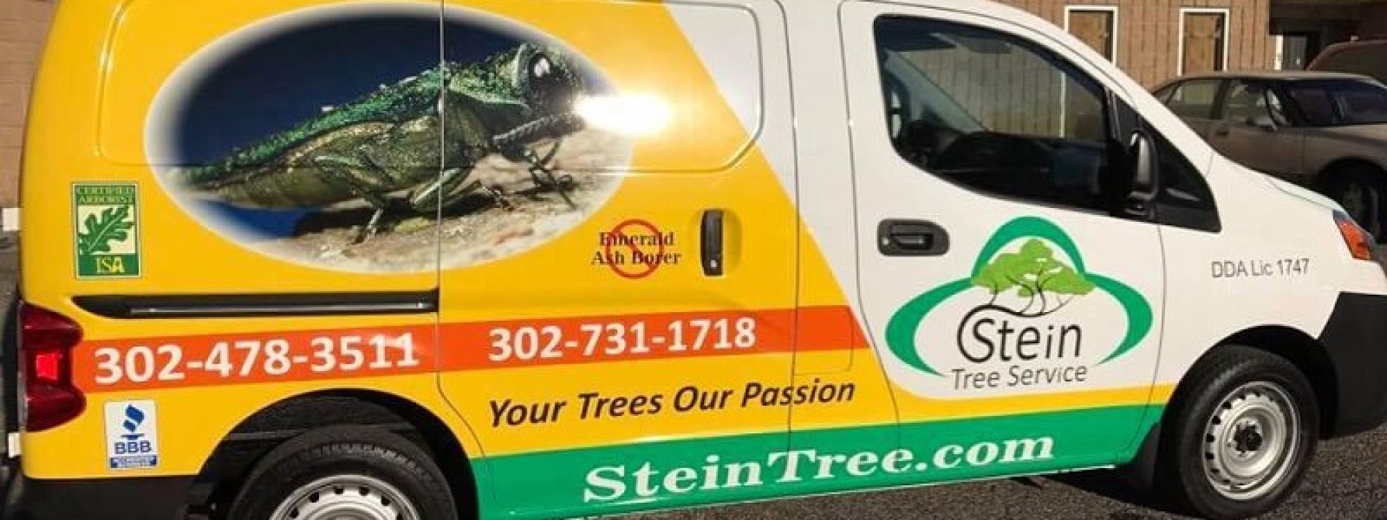 Stein Tree Lift Truck - Tree Trimming in Talleyville DE