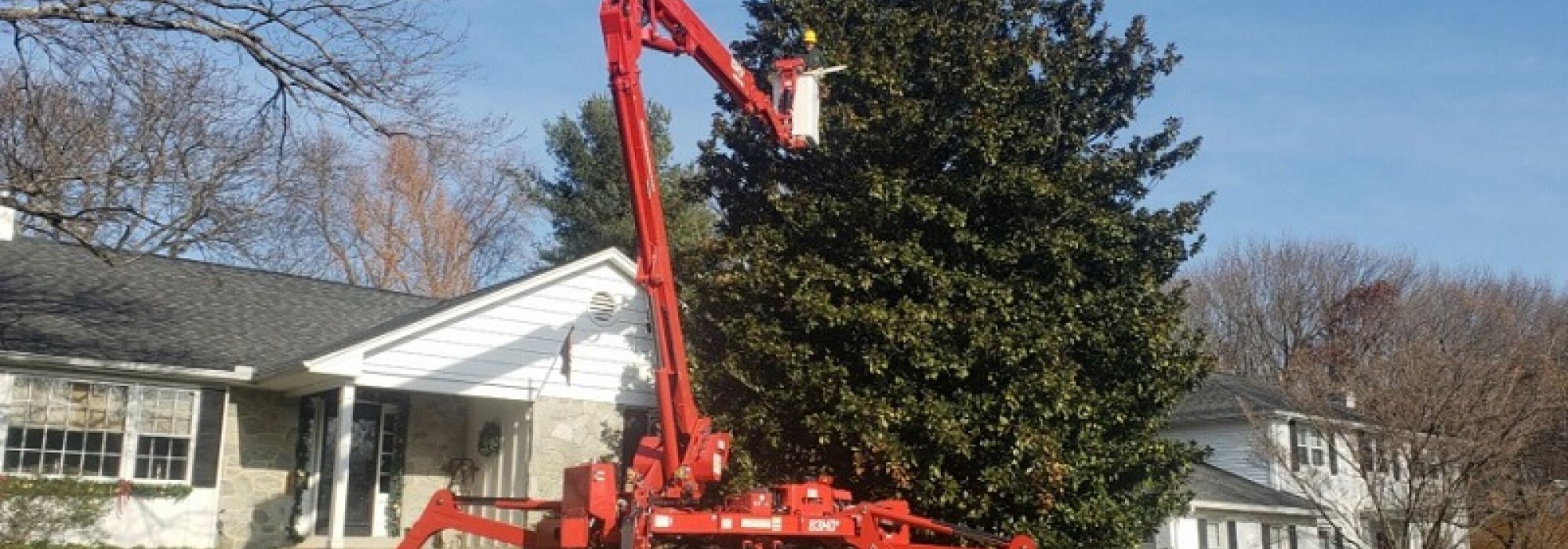 Stein Tree Spider Lift - Tree Removal In Christiana DE