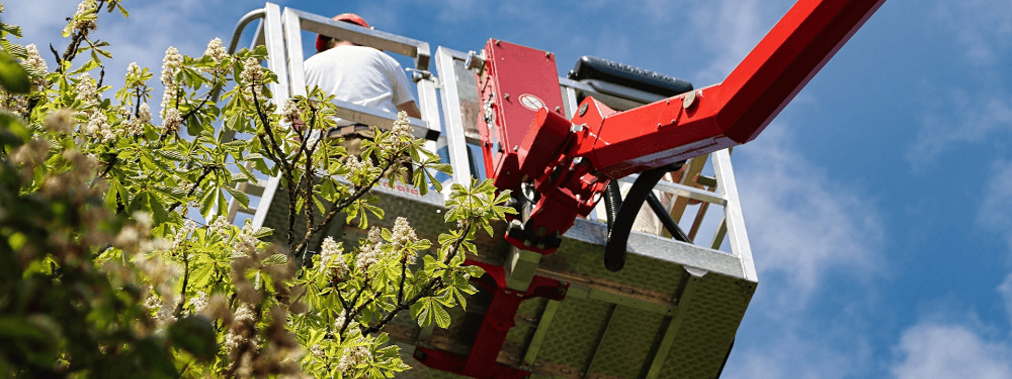 Stein Tree Lift Truck - Tree Trimming in Talleyville DE