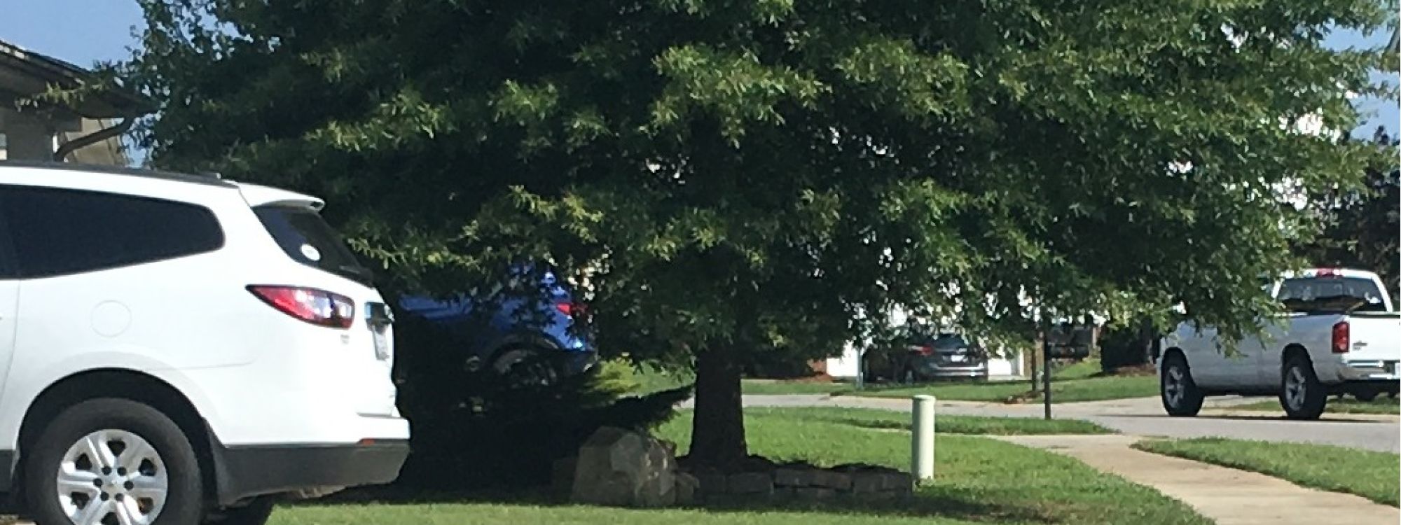 Stein Tree Lift Truck - Tree Trimming in Talleyville DE